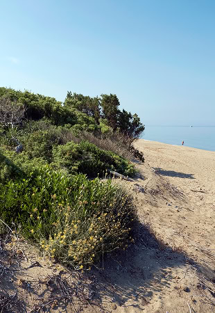 Vivi la Natura